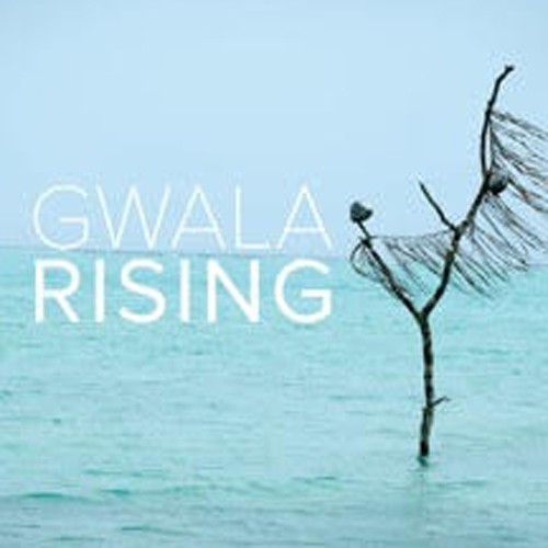 Gwala Rising, Whitney Anderson photodiversity film festival