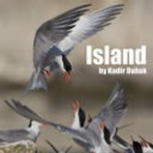 Island,  photodiversity film festival