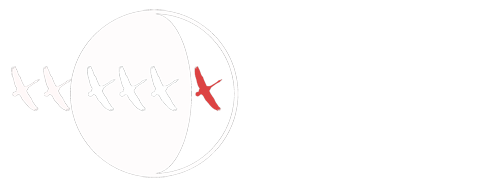 zoological lighting institiute logo
